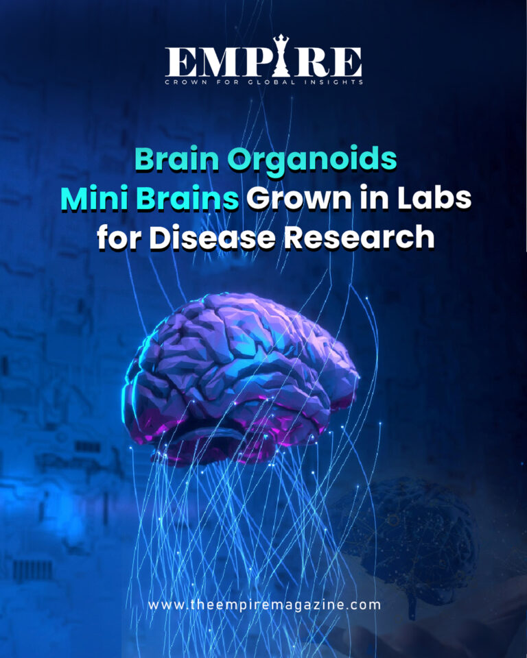 Brain Organoids