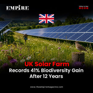 UK Solar